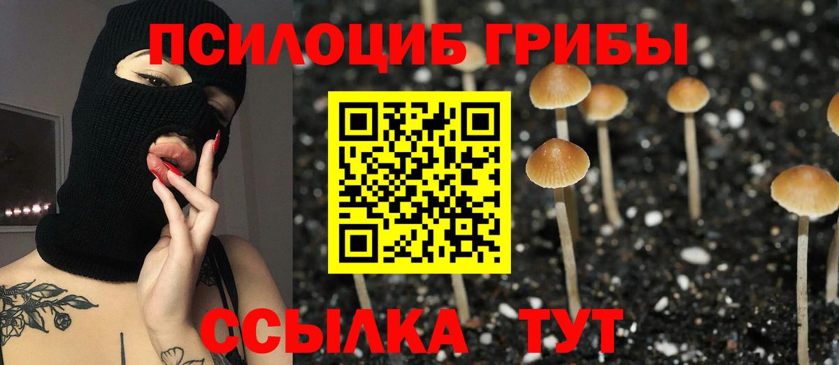 Галлюциногенные грибы мицелий  Галлюциногенные грибы Psilocybe  Вход с VPN  Кашира 